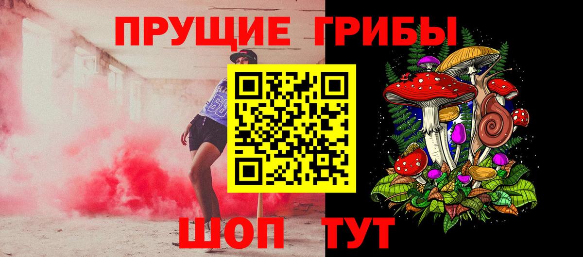 Псилоцибиновые грибы Psilocybe  где купить наркоту  Вход с VPN  Боровичи  Псилоцибиновые грибы GOLDEN TEACHER 